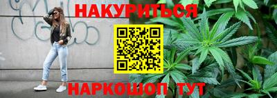 индика Гусь-Хрустальный