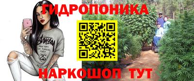 apvp Донской