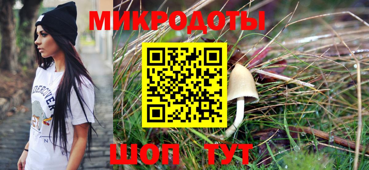 Сунжа  Псилоцибиновые грибы мухоморы  Вход с VPN 